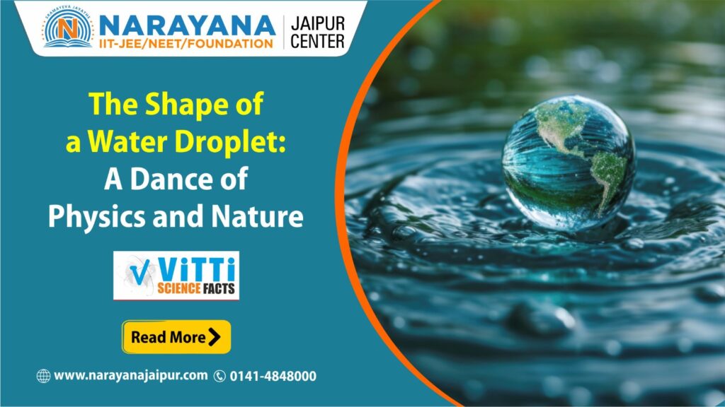 The Shape of a Water Droplet: A Dance of Physics and Nature