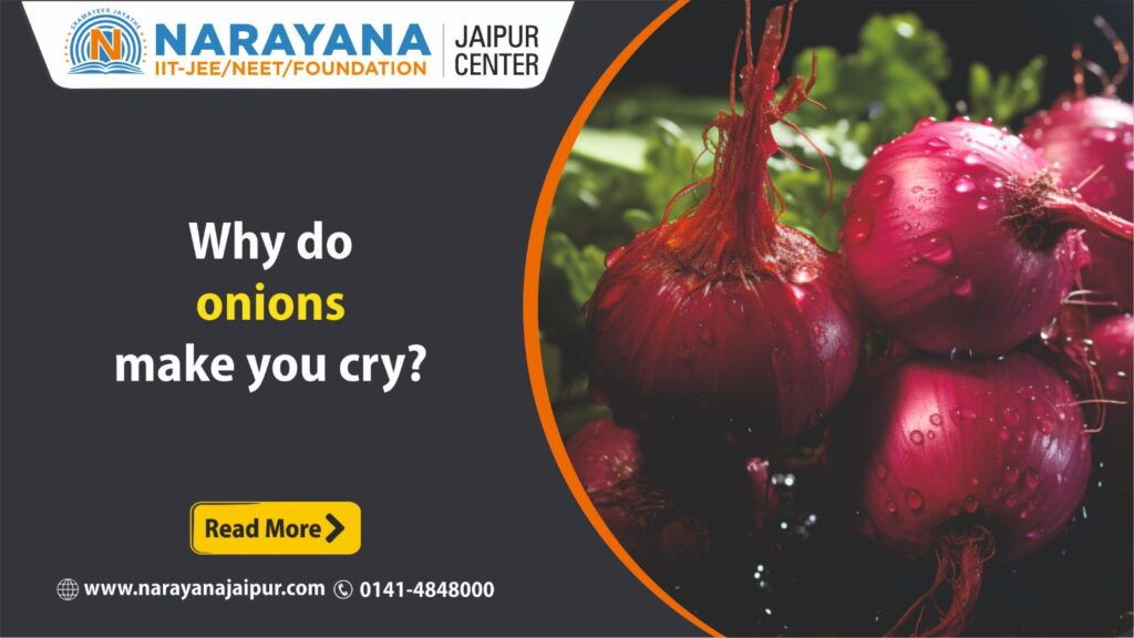 why do onions makes you cry