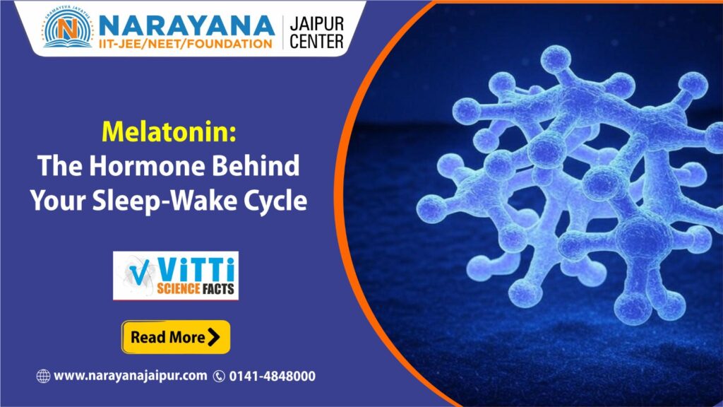Melatonin: The Harmone Behind Your Sleep-Wake Cycle